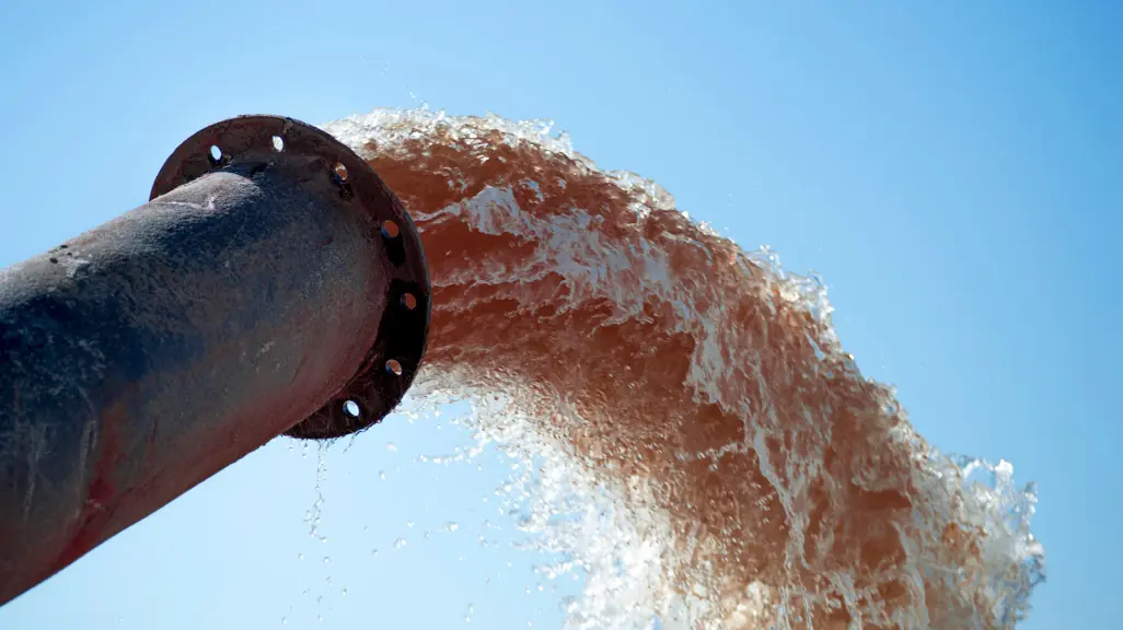 ActionSA urges CoCT to invest more money into addressing ongoing marine ...