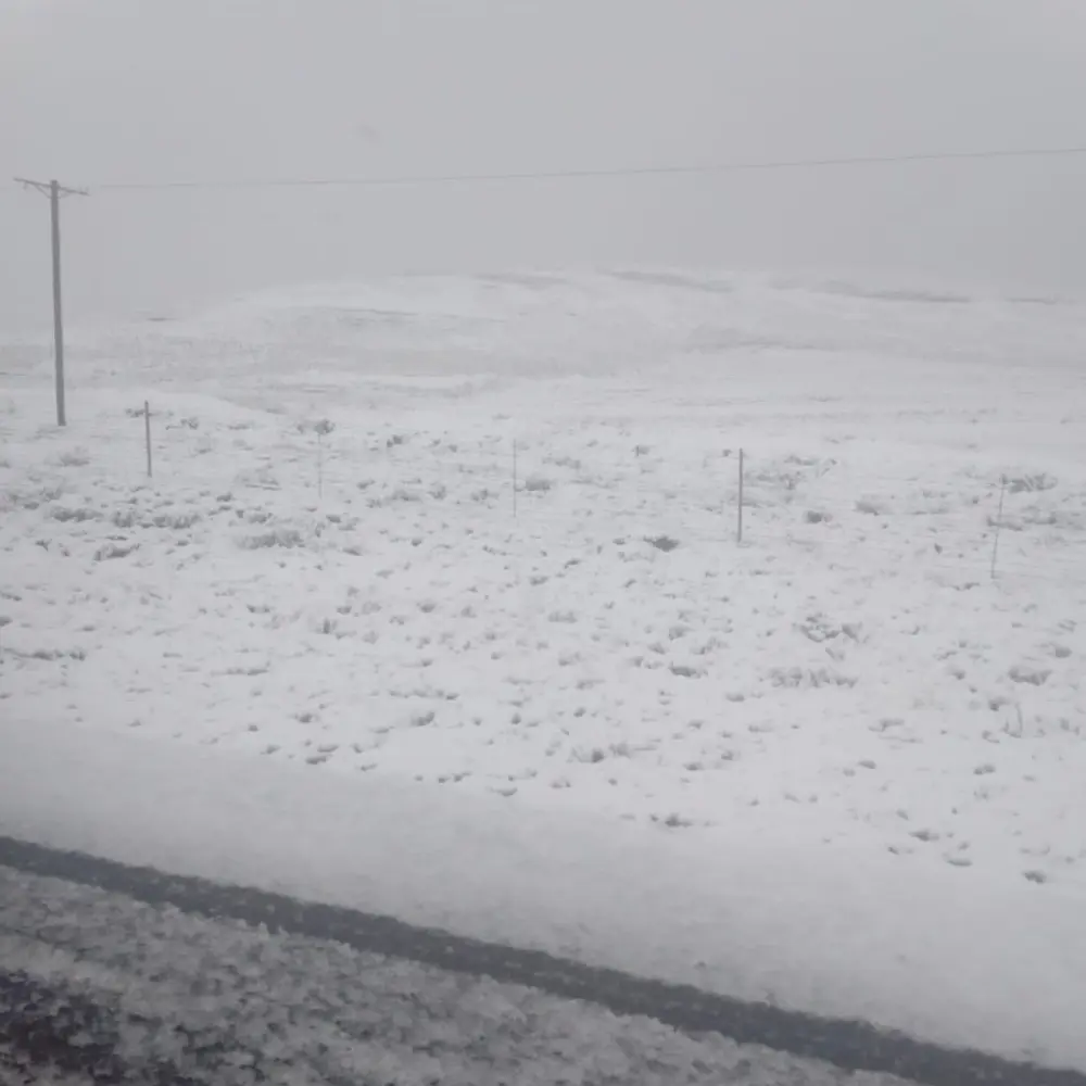 Snow falls in the Eastern Cape, 20 September 2024. Picture: Supplied/Eastern Cape Department of Transport Snow falls in the Eastern Cape, 20 September 2024. Picture: Supplied/Eastern Cape Department of Transport