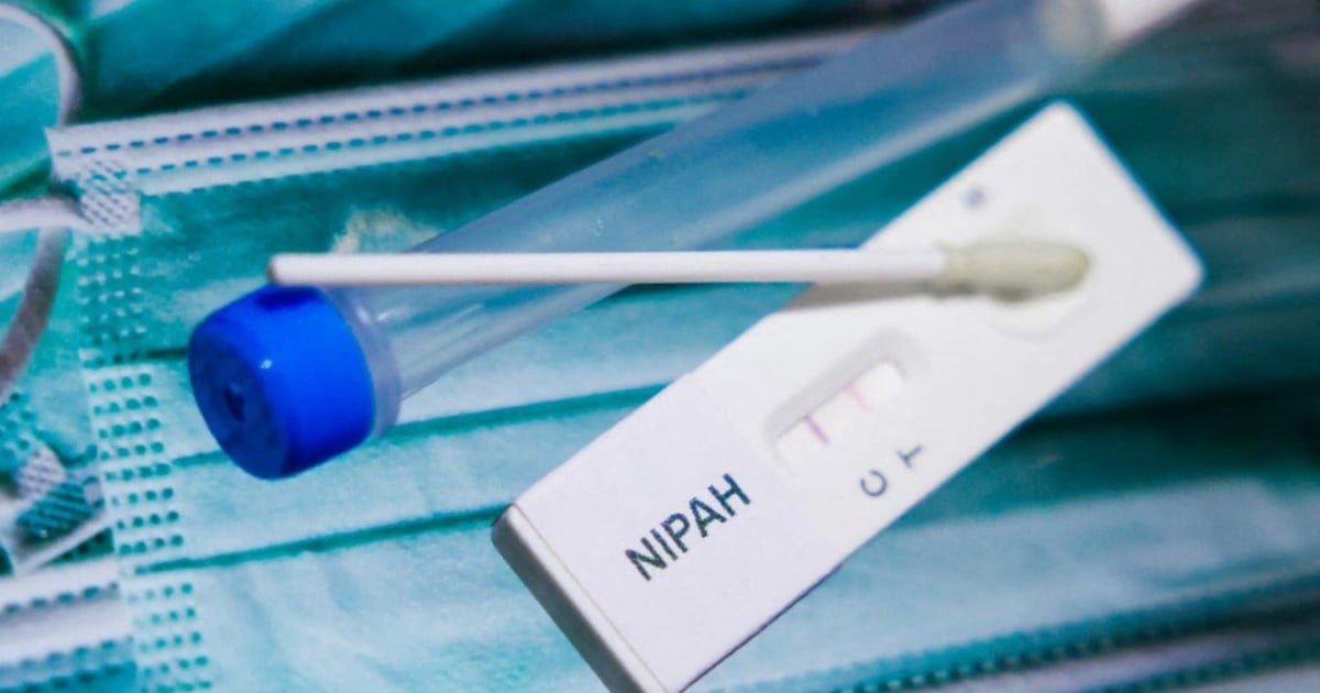 Health authorities on high alert in Asia over 'brain-killing' virus