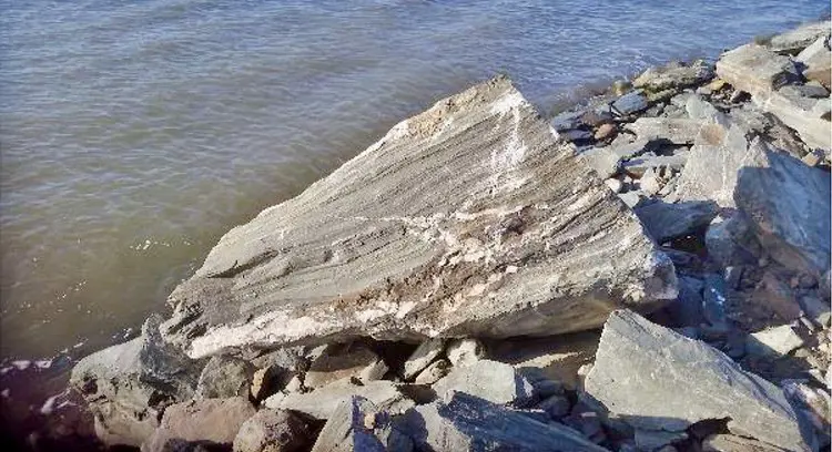 Rocks on the coffer dam wall. Picture: Department of Forestry, Fisheries and the Environment report titled: “Enforcement: In Loco Inspection Report – The salt/tidal flats of the Orange River Mouth Ramsar site”, published 28 January 2020. Rocks on the coffer dam wall. Picture: Department of Forestry, Fisheries and the Environment report titled: “Enforcement: In Loco Inspection Report – The salt/tidal flats of the Orange River Mouth Ramsar site”, published 28 January 2020.