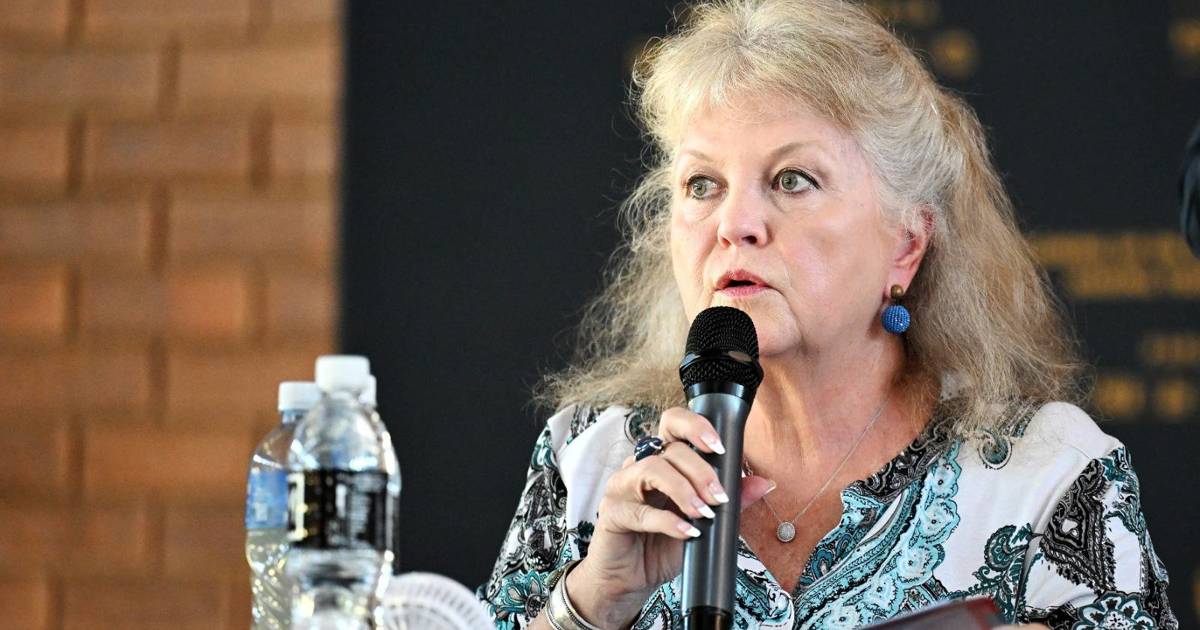 Parliament to seek legal advice on DA MP's role in police probe