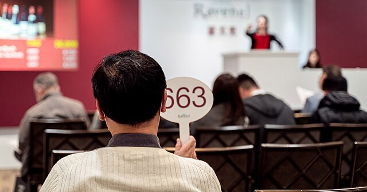 City of Cape Town to auction 50 land parcels for economic development