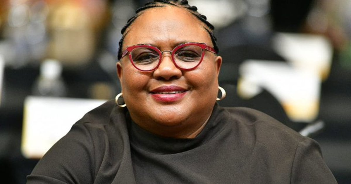 Speaker Didiza and political parties clash over witnesses in SAPS corruption probe