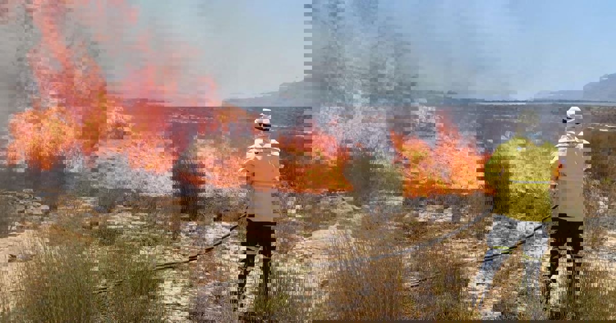 DA welcomes CapeNature’s extensive recovery plan for fire-ravaged ...