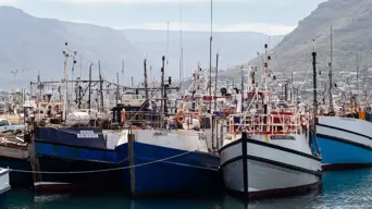 Small-scale fishers demand better allocation of fishing rights Small-scale fishers demand better allocation of fishing rights