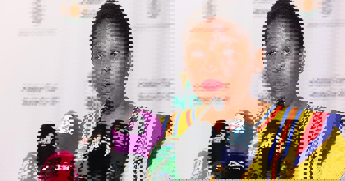 Regierung holt 16 Milliarden Rand an Vermögenswerten aus staatlicher ...