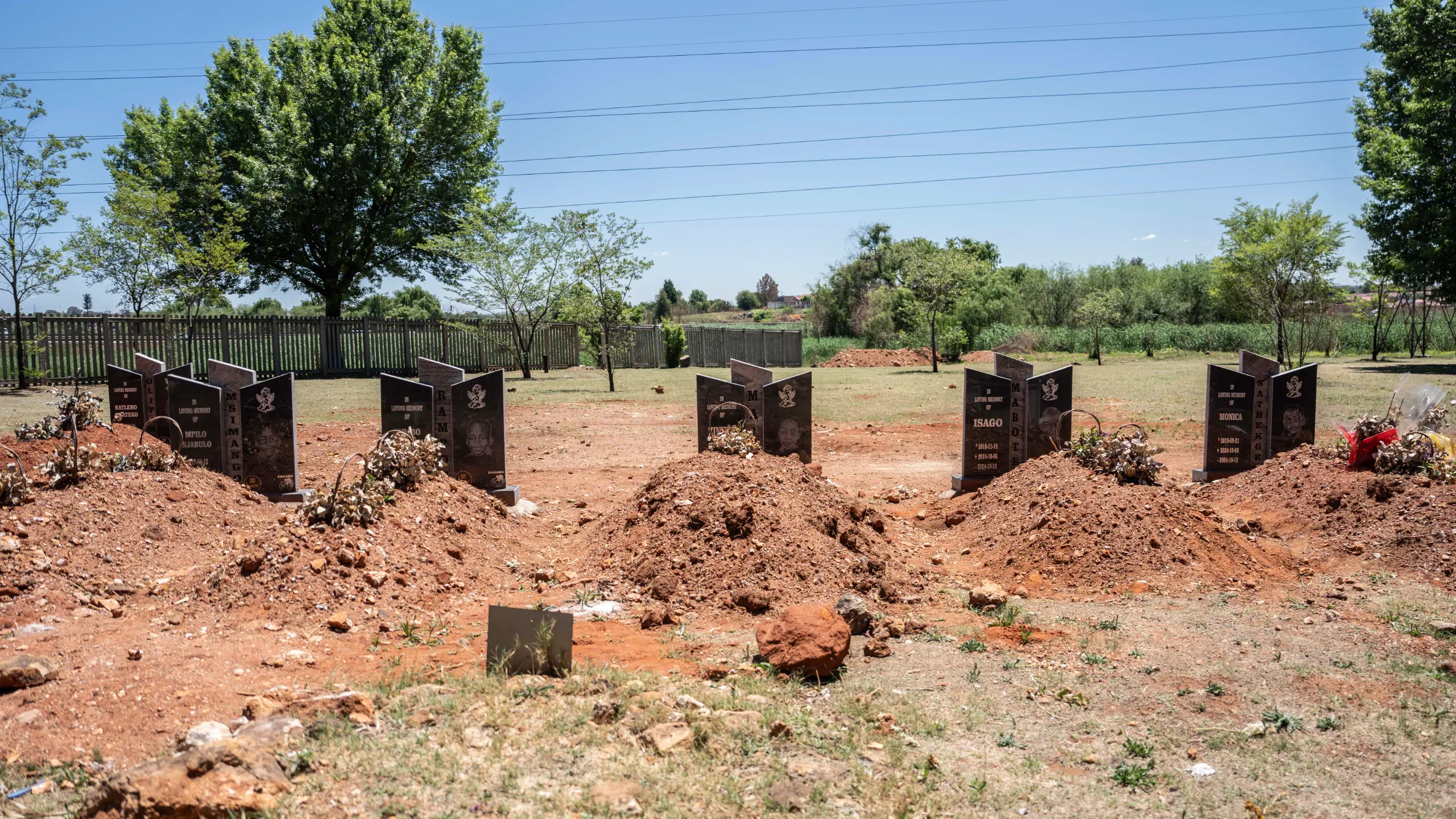 The tombstones of the six children who died from terbufos poisoning in Naledi, Soweto. Picture: Katlego Jiyane/Eyewitness News The tombstones of the six children who died from terbufos poisoning in Naledi, Soweto. Picture: Katlego Jiyane/Eyewitness News