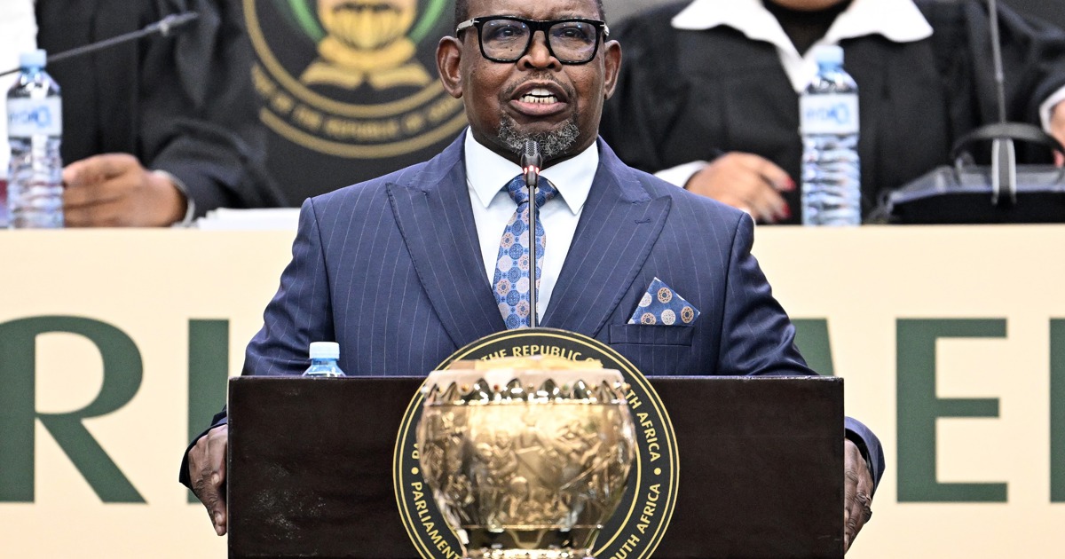 Godongwana unveils efficiency drive and ghost employee crackdown to curb ...