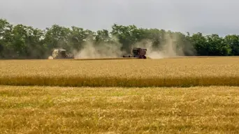 Rising fertiliser and fuel prices amid Iran war will eventually hit consumers, warns economist Rising fertiliser and fuel prices amid Iran war will eventually hit consumers, warns economist