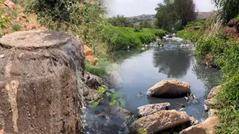 WATCH: Sewage crisis in Mogale City chokes local businesses WATCH: Sewage crisis in Mogale City chokes local businesses
