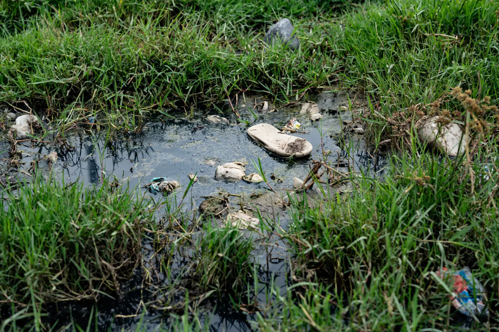 Raw sewerage spills in front of houses and next to walkways in Makana municipality in Grahamstown, Eastern Cape. Picture: Kayleen Morgan/Eyewitness News Raw sewerage spills in front of houses and next to walkways in Makana municipality in Grahamstown, Eastern Cape. Picture: Kayleen Morgan/Eyewitness News