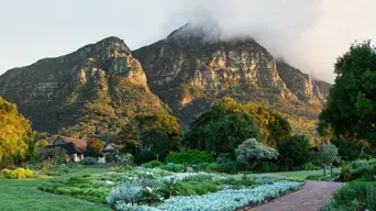 'What's happening to Kirstenbosch Garden is a tragedy' - Mark Reid 'What's happening to Kirstenbosch Garden is a tragedy' - Mark Reid