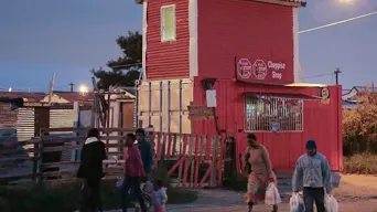 ANCWL in WC calls for banning deadly pesticide - organophosphate ANCWL in WC calls for banning deadly pesticide - organophosphate