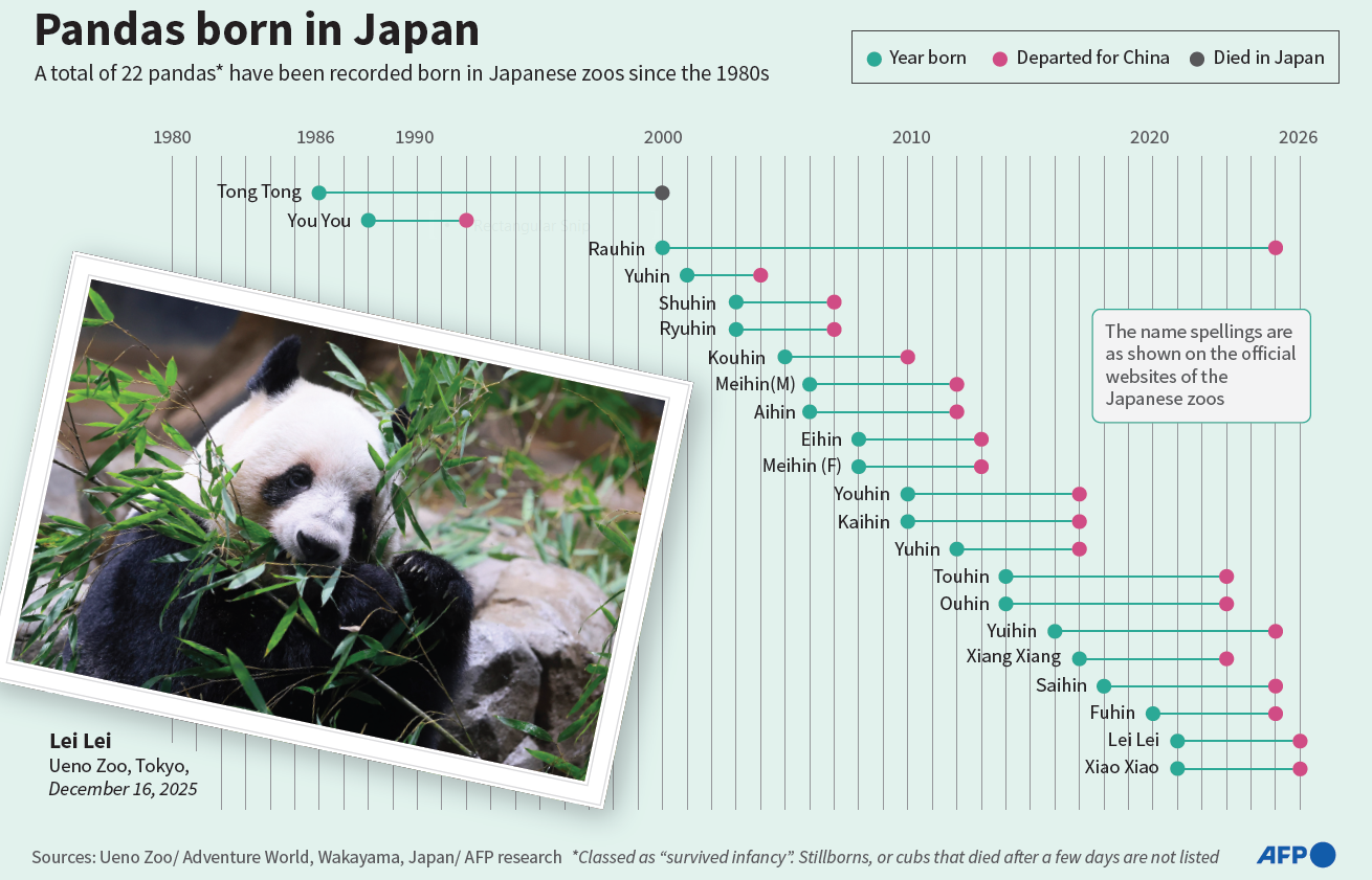 Japan's beloved last pandas leave for China as ties fray