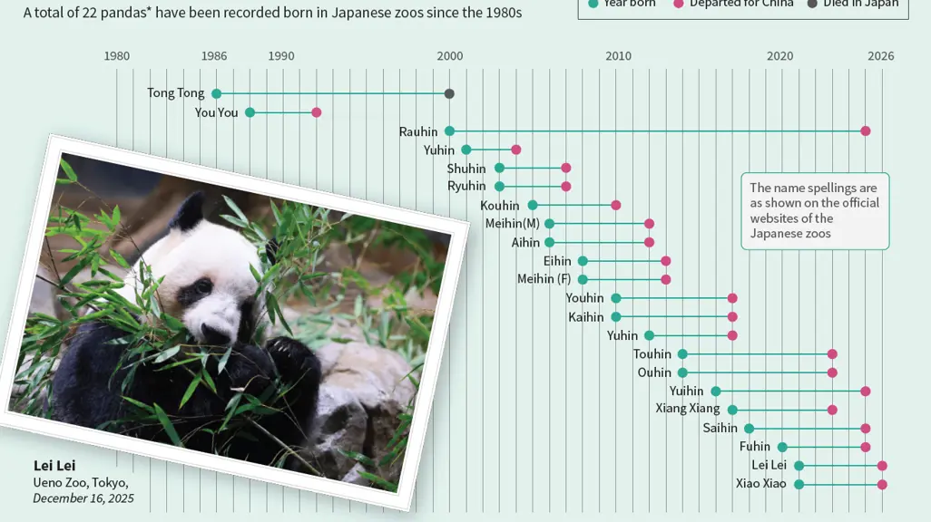 pandaページ Japan's beloved last pandas leave for China as ties fray
