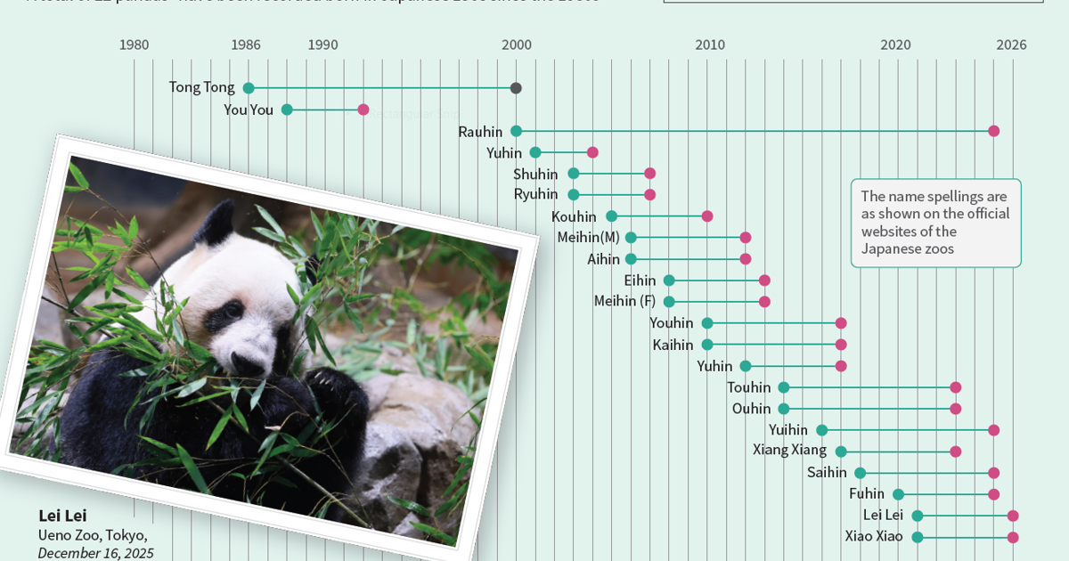 Japan's beloved last pandas leave for China as ties fray