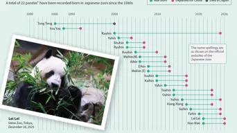 Japan's beloved last pandas leave for China as ties fray Japan's beloved last pandas leave for China as ties fray