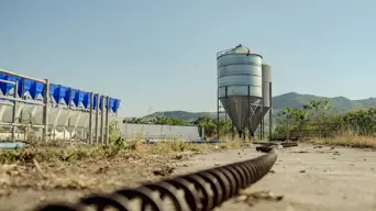 R43m dairy farm collapse leaves Mantusini community struggling R43m dairy farm collapse leaves Mantusini community struggling