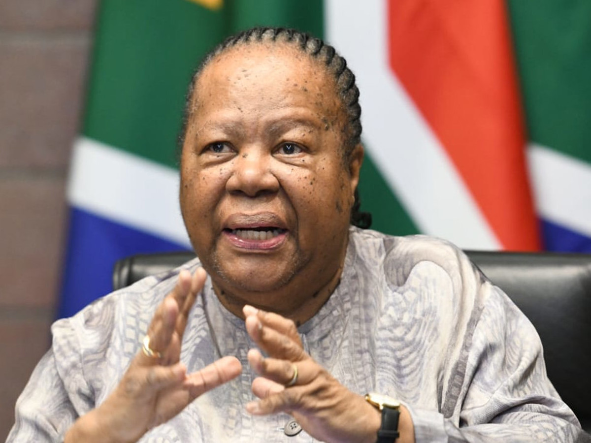 Pandor unsure what may have influenced US' decision to revoke her visa