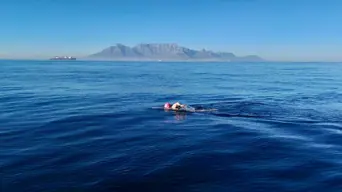 Age is just a number: 59-Year-Old Karen Kennedy makes history with 30km quadruple Robben Island crossing Age is just a number: 59-Year-Old Karen Kennedy makes history with 30km quadruple Robben Island crossing