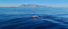 Age is just a number: 59-Year-Old Karen Kennedy makes history with 30km quadruple Robben Island crossing Age is just a number: 59-Year-Old Karen Kennedy makes history with 30km quadruple Robben Island crossing
