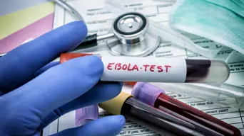 DR Congo says latest Ebola outbreak is over DR Congo says latest Ebola outbreak is over