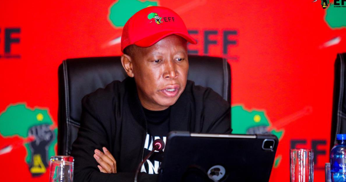 EFF tells Constitutional Court that impeachment committee must continue ...