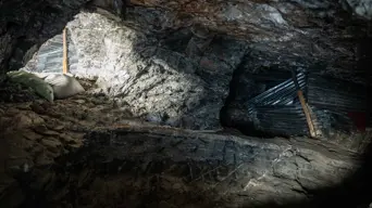 Terrified residents claim police collusion amid illegal mining crackdown in Randfontein Terrified residents claim police collusion amid illegal mining crackdown in Randfontein