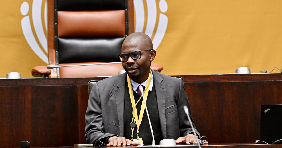 Speaker Didiza Faces Calls to Recuse Herself from Ramaphosa Impeachment Inquiry