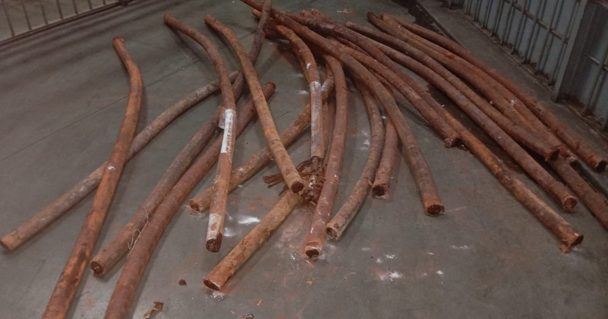 'It's a war': City Power says fight against cable thieves escalating