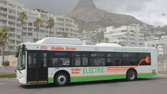 Golden Arrow now has 77 fully electric busses operating (will have 120 by year-end) Golden Arrow now has 77 fully electric busses operating (will have 120 by year-end)