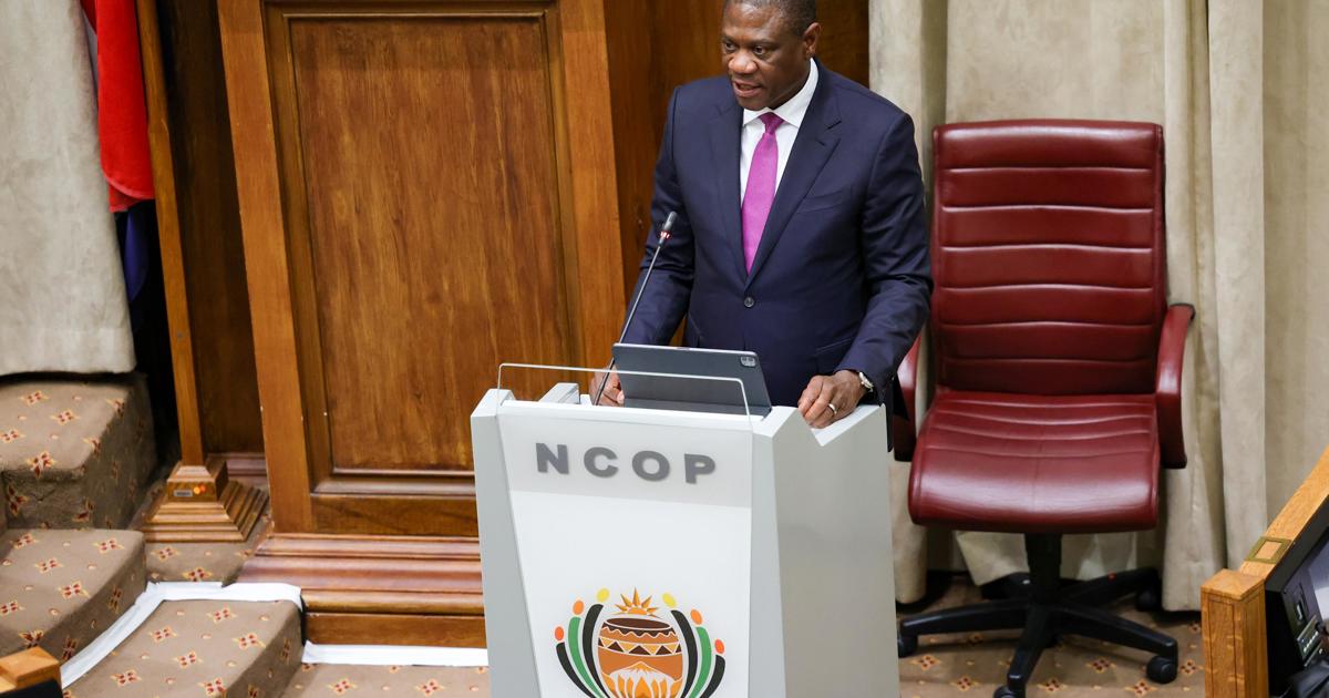 Mashatile hasn’t ruled out naming businesses employing undocumented migrants