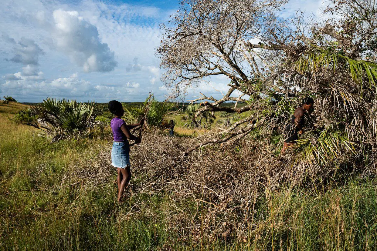Phindile Mbonambi’s daughters, Londi and Ntethelelo Mbonambi, collect wood a few kilometres from their home. The wood is used for fire to cook, boil water, and heat their old fashioned coal iron. Picture: Xanderleigh Dookey Makhaza/Eyewitness News Phindile Mbonambi’s daughters, Londi and Ntethelelo Mbonambi, collect wood a few kilometres from their home. The wood is used for fire to cook, boil water, and heat their old fashioned coal iron. Picture: Xanderleigh Dookey Makhaza/Eyewitness News