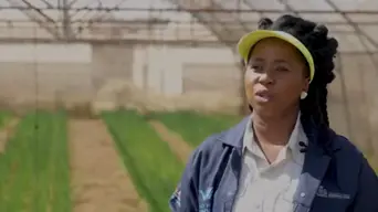 GP Agriculture MEC calls for locally produced vaccines to counter foot-and-mouth disease GP Agriculture MEC calls for locally produced vaccines to counter foot-and-mouth disease