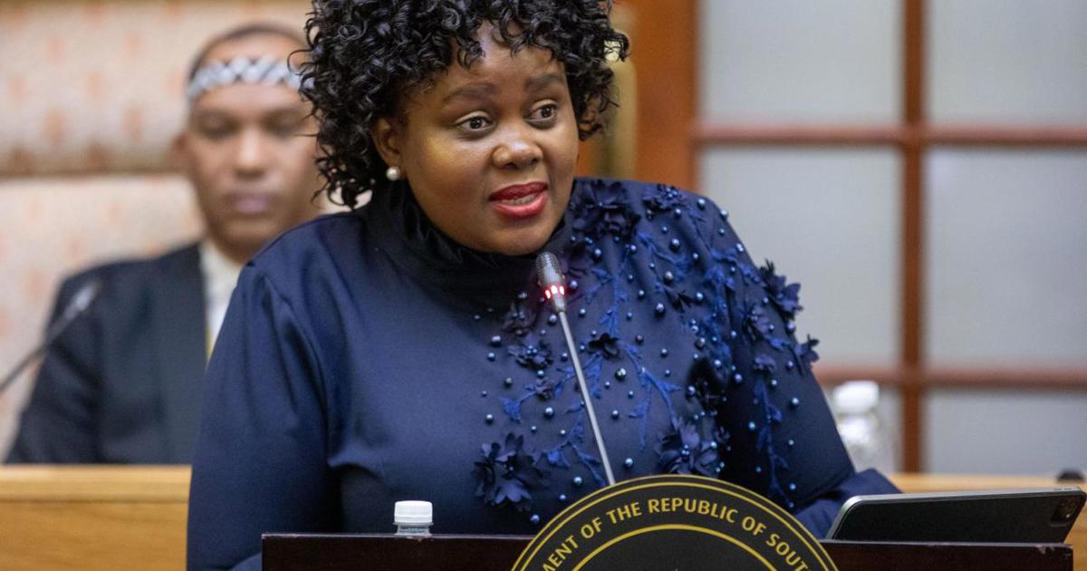 Justice Dept says not enough budget to cover Madlanga Commission's ...