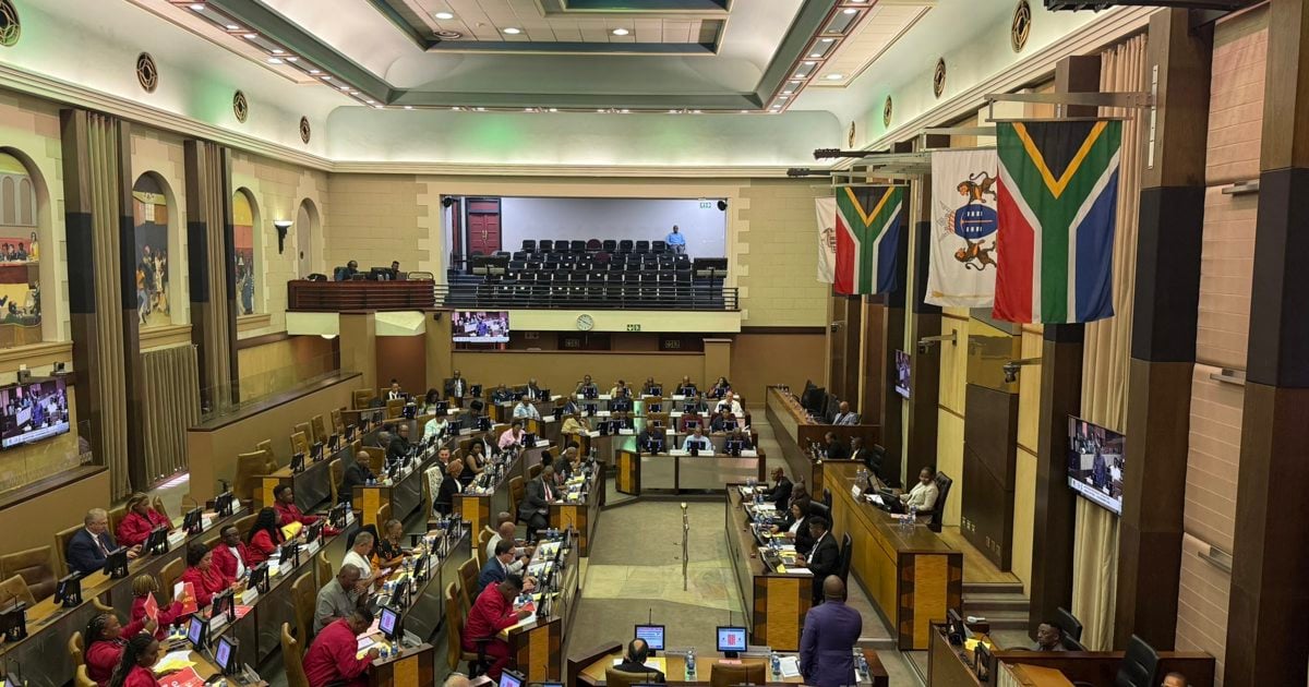 ANC: Misstrauensantrag der DA gegen Lesufi ist ein Versuch ...