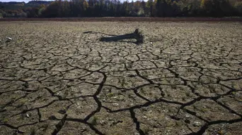 Nearly 900 million poor people exposed to climate shocks, UN warns Nearly 900 million poor people exposed to climate shocks, UN warns