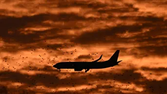 Sole survivor of tragic Air India crash too traumatised to fly back to the UK Sole survivor of tragic Air India crash too traumatised to fly back to the UK