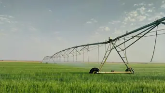 WC Mobility Dept launches project aimed at reviving rail freight along key agricultural corridor WC Mobility Dept launches project aimed at reviving rail freight along key agricultural corridor