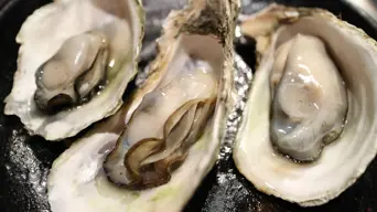 Oyster inspired ‘bone glue’ from China heals broken bones in minutes Oyster inspired ‘bone glue’ from China heals broken bones in minutes