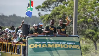 World champions South Africa to face Wales at Twickenham World champions South Africa to face Wales at Twickenham