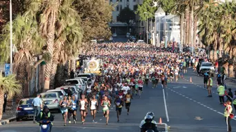 Forensic probes underway to determine circumstances behind fatal tree fall during CT running race Forensic probes underway to determine circumstances behind fatal tree fall during CT running race