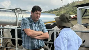 Dairy farmer counts R1.9m in losses due to foot-and-mouth disease outbreak Dairy farmer counts R1.9m in losses due to foot-and-mouth disease outbreak