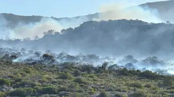 SANParks urges public to steer clear of Jonkersdam area following wildfire SANParks urges public to steer clear of Jonkersdam area following wildfire