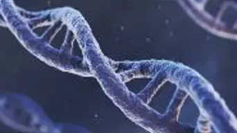 DNA gamechanger: 'This is really cutting-edge stuff' - geneticist DNA gamechanger: 'This is really cutting-edge stuff' - geneticist