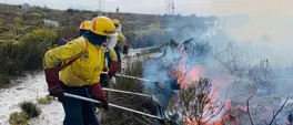 900 firefighters mobilised to curtail WC fire season 900 firefighters mobilised to curtail WC fire season