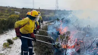 900 firefighters mobilised to curtail WC fire season 900 firefighters mobilised to curtail WC fire season