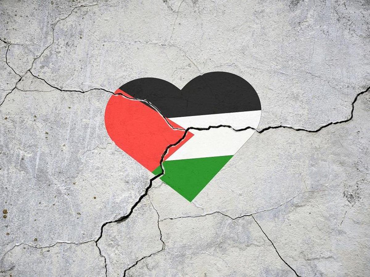 ANC WC says it's not using pro-Palestine stance for electioneering - Vimarsana News