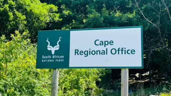 SANParks dismisses claims that there's a crime uptick on Table Mountain SANParks dismisses claims that there's a crime uptick on Table Mountain
