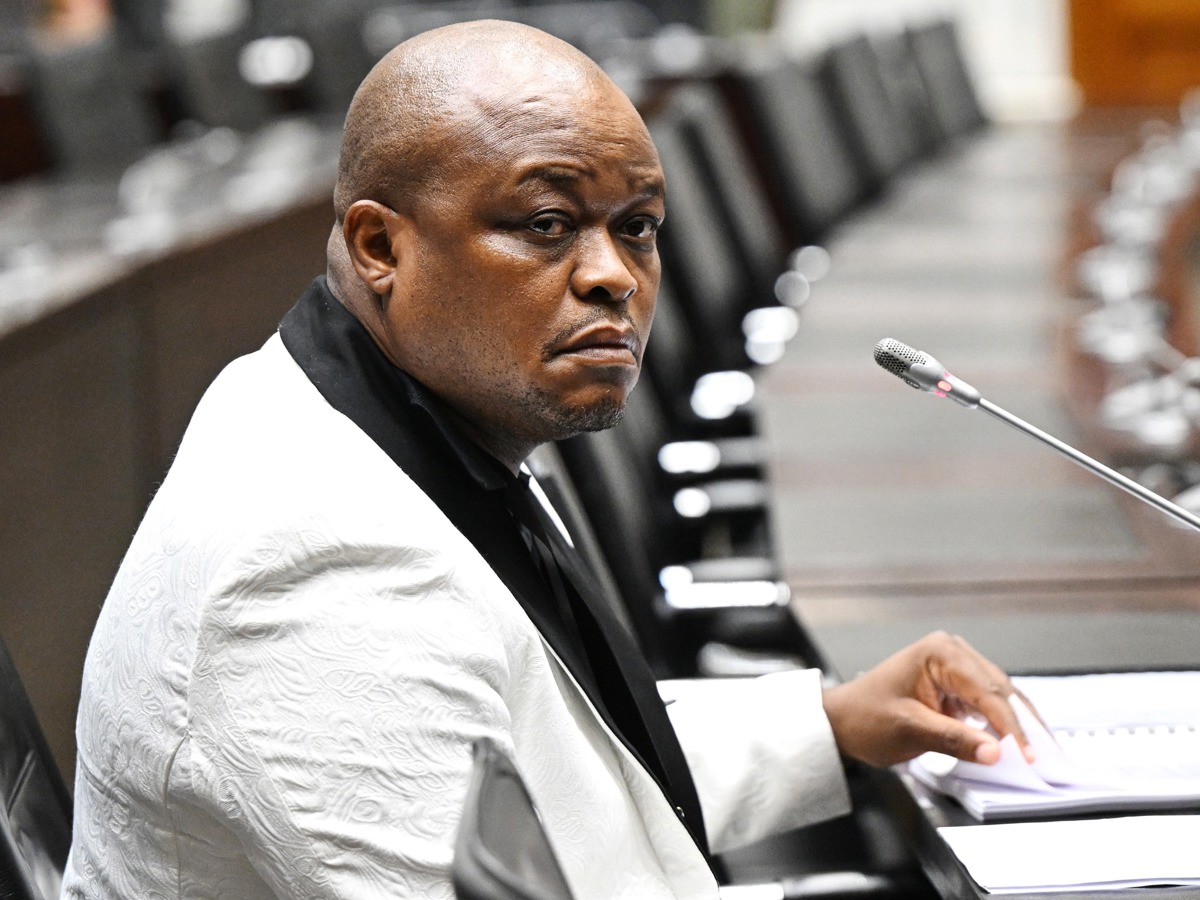 Brown Mogotsi grilled by Parliament over crime intelligence asset claims